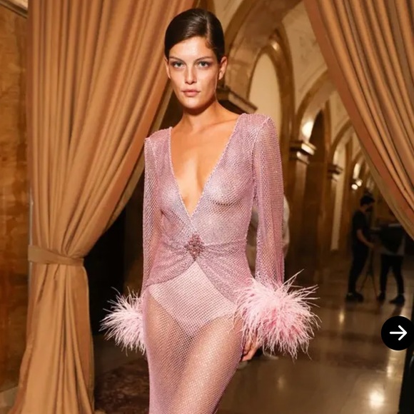 $3200 New PatBo Crystal and feather mesh dress in pink